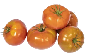 Marmande tomaat